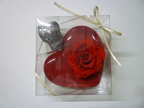 画像の名前を入力