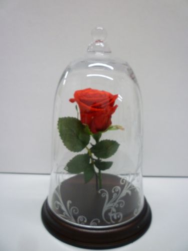 画像の名前を入力