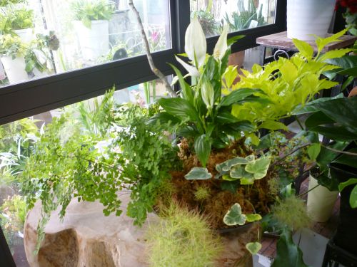 画像の名前を入力