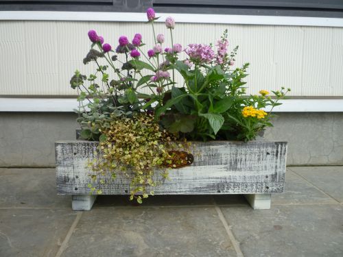 画像の名前を入力