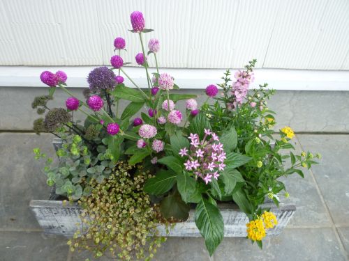 画像の名前を入力