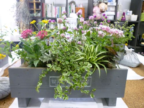 画像の名前を入力