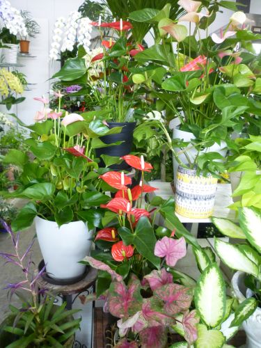 画像の名前を入力