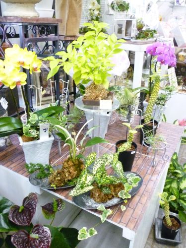 画像の名前を入力