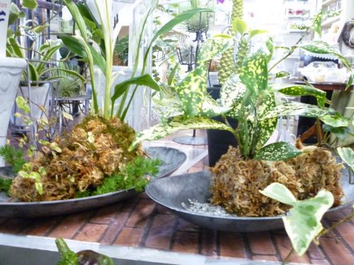 画像の名前を入力