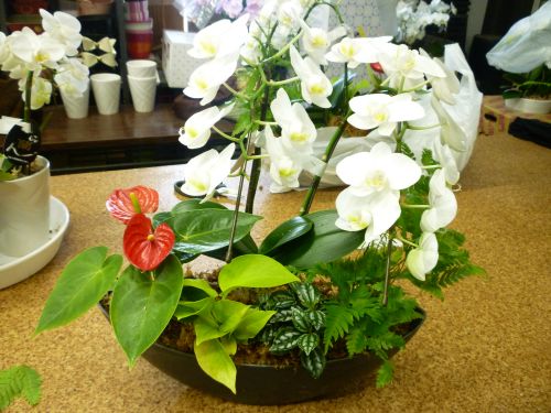 画像の名前を入力