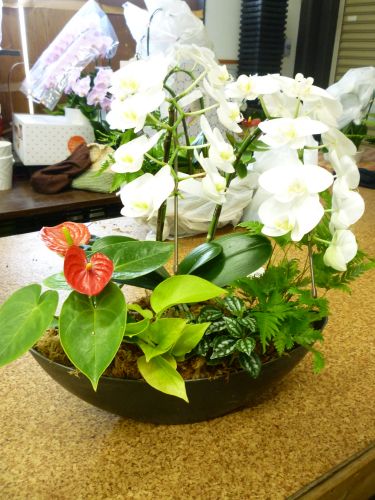 画像の名前を入力