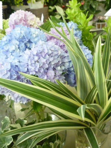 画像の名前を入力