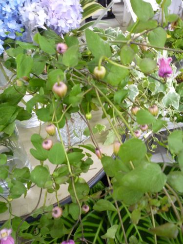 画像の名前を入力