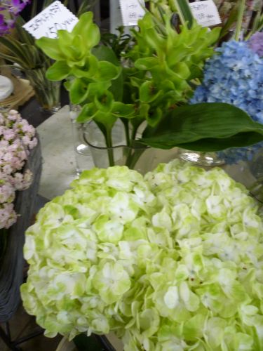 画像の名前を入力