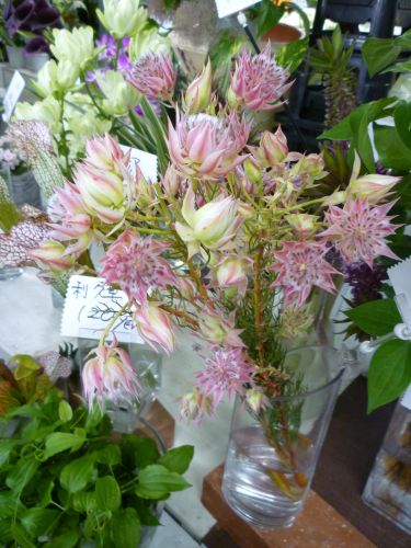 画像の名前を入力