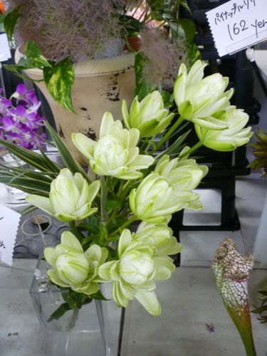 画像の名前を入力