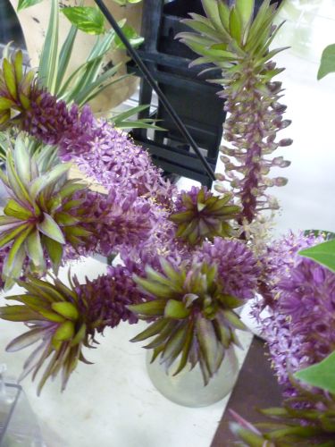 画像の名前を入力