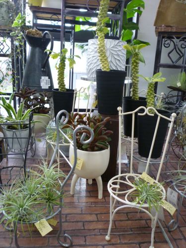 画像の名前を入力