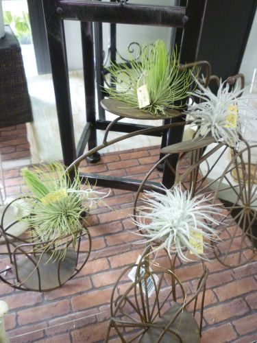 画像の名前を入力