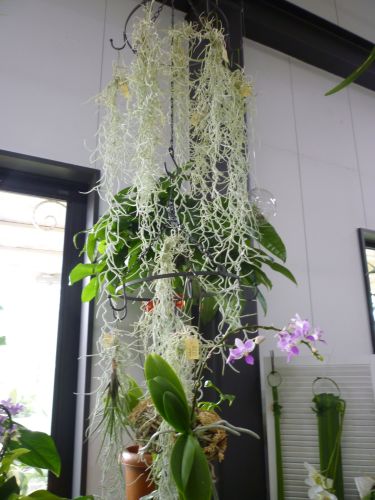 画像の名前を入力