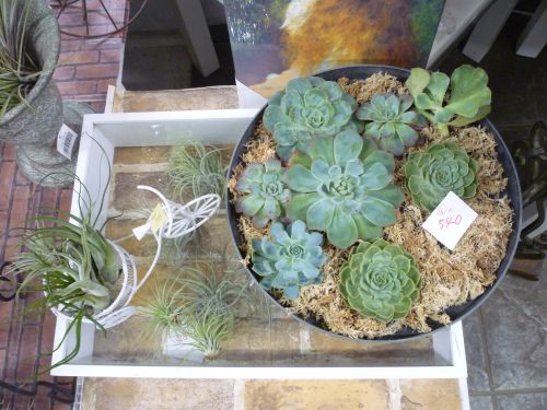 画像の名前を入力