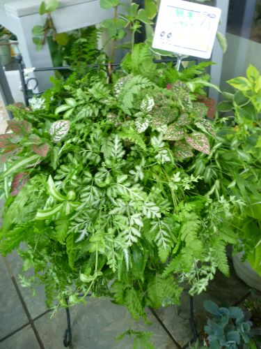 画像の名前を入力