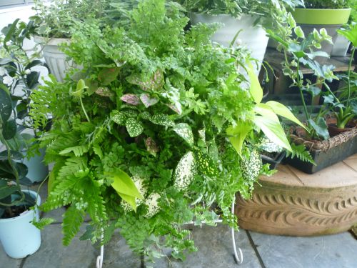 画像の名前を入力