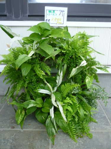 画像の名前を入力