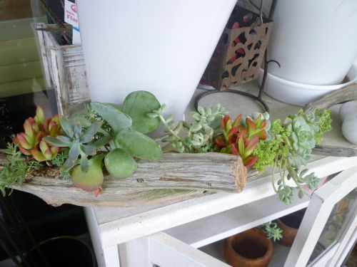 画像の名前を入力