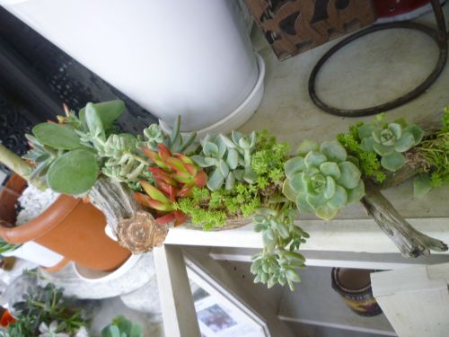 画像の名前を入力