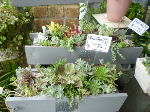 画像の名前を入力