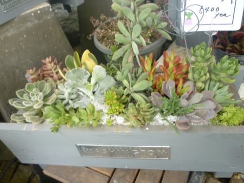 画像の名前を入力