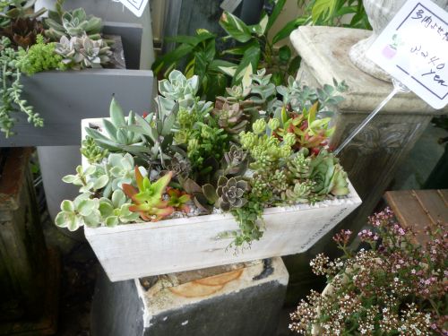 画像の名前を入力