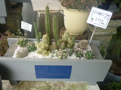 画像の名前を入力