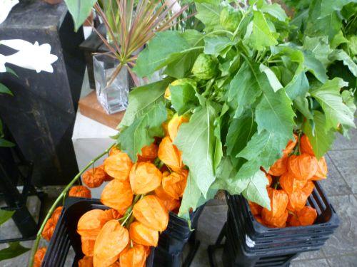 画像の名前を入力