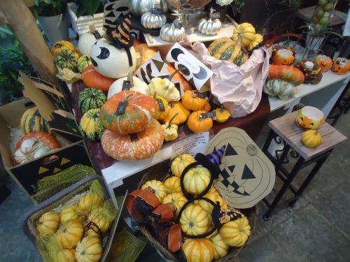 画像の名前を入力