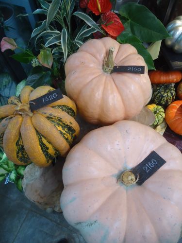 画像の名前を入力