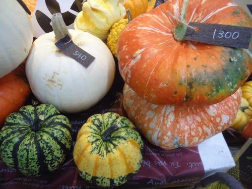 画像の名前を入力