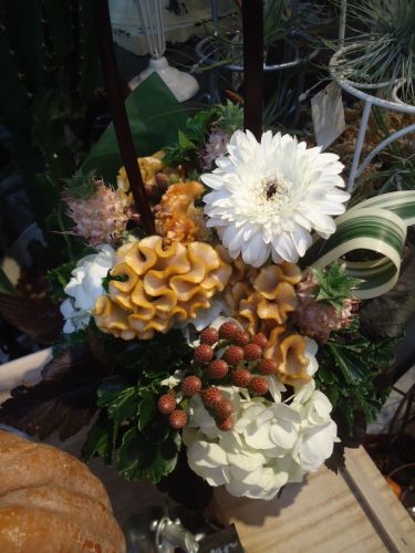 画像の名前を入力