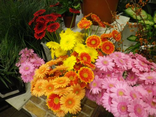 画像の名前を入力