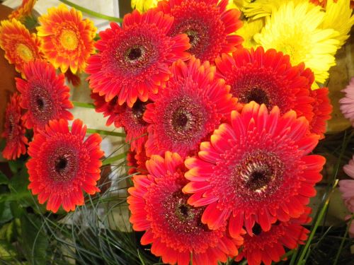 画像の名前を入力