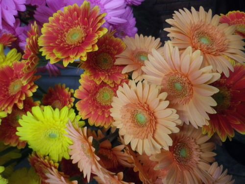 画像の名前を入力