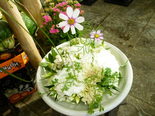 画像の名前を入力