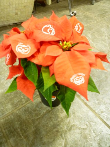 画像の名前を入力