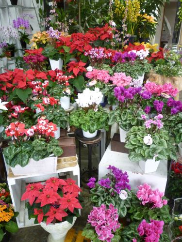 画像の名前を入力