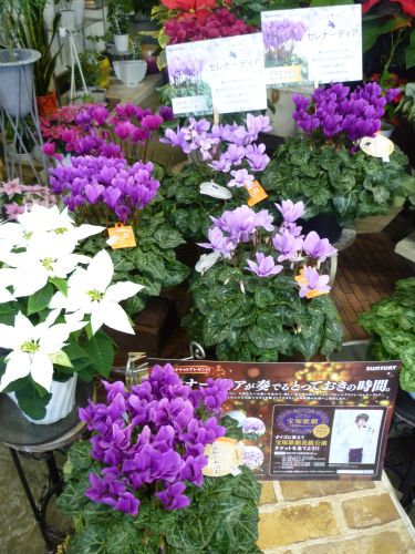 画像の名前を入力