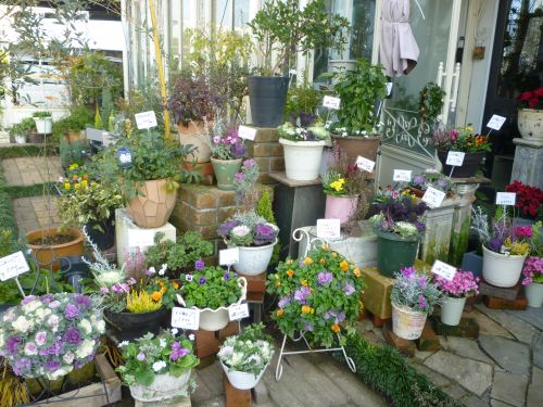 画像の名前を入力