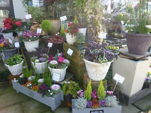 画像の名前を入力