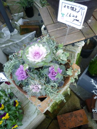 画像の名前を入力