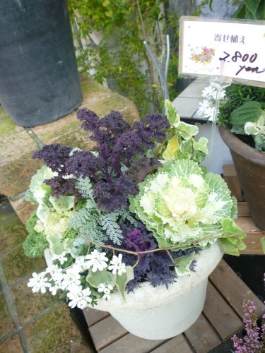 画像の名前を入力