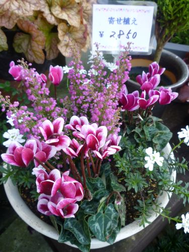 画像の名前を入力