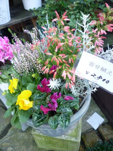 画像の名前を入力