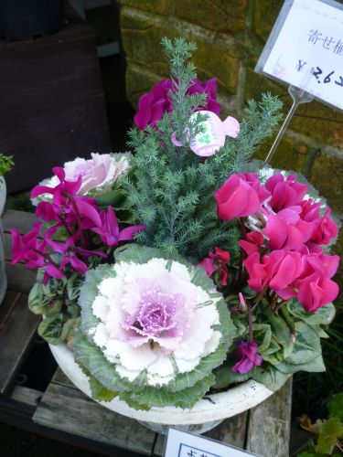 画像の名前を入力