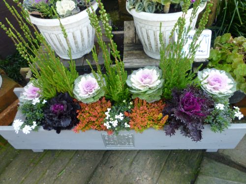 画像の名前を入力